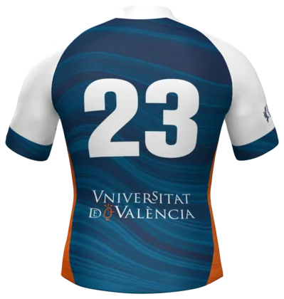 La camiseta de rugby por detrás