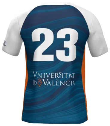 La camiseta de balonmano por detrás