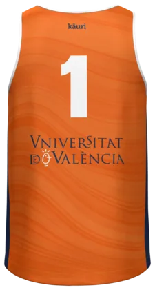 La camiseta de voleibol por detrás