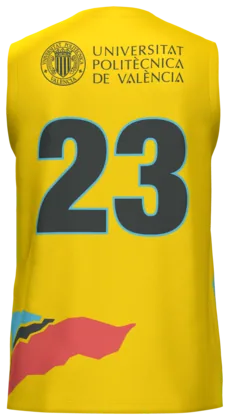 La camiseta de baloncesto de la UPV por detrás