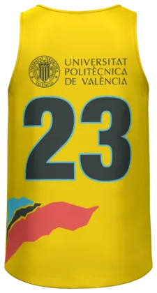 La camiseta de voleibol de la UPV por detrás